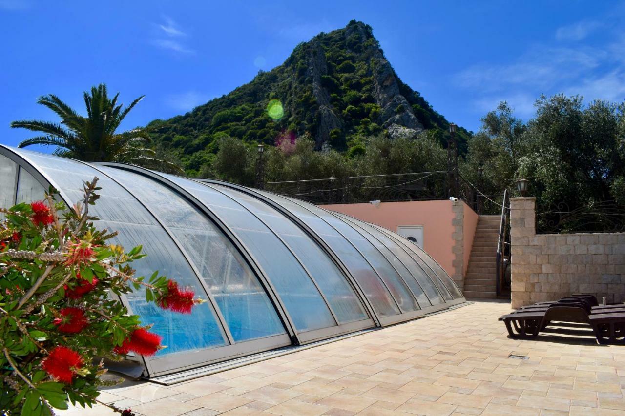 Villa Dolphin Apartments Petrovac Εξωτερικό φωτογραφία