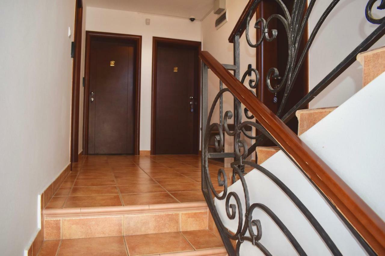 Villa Dolphin Apartments Petrovac Εξωτερικό φωτογραφία