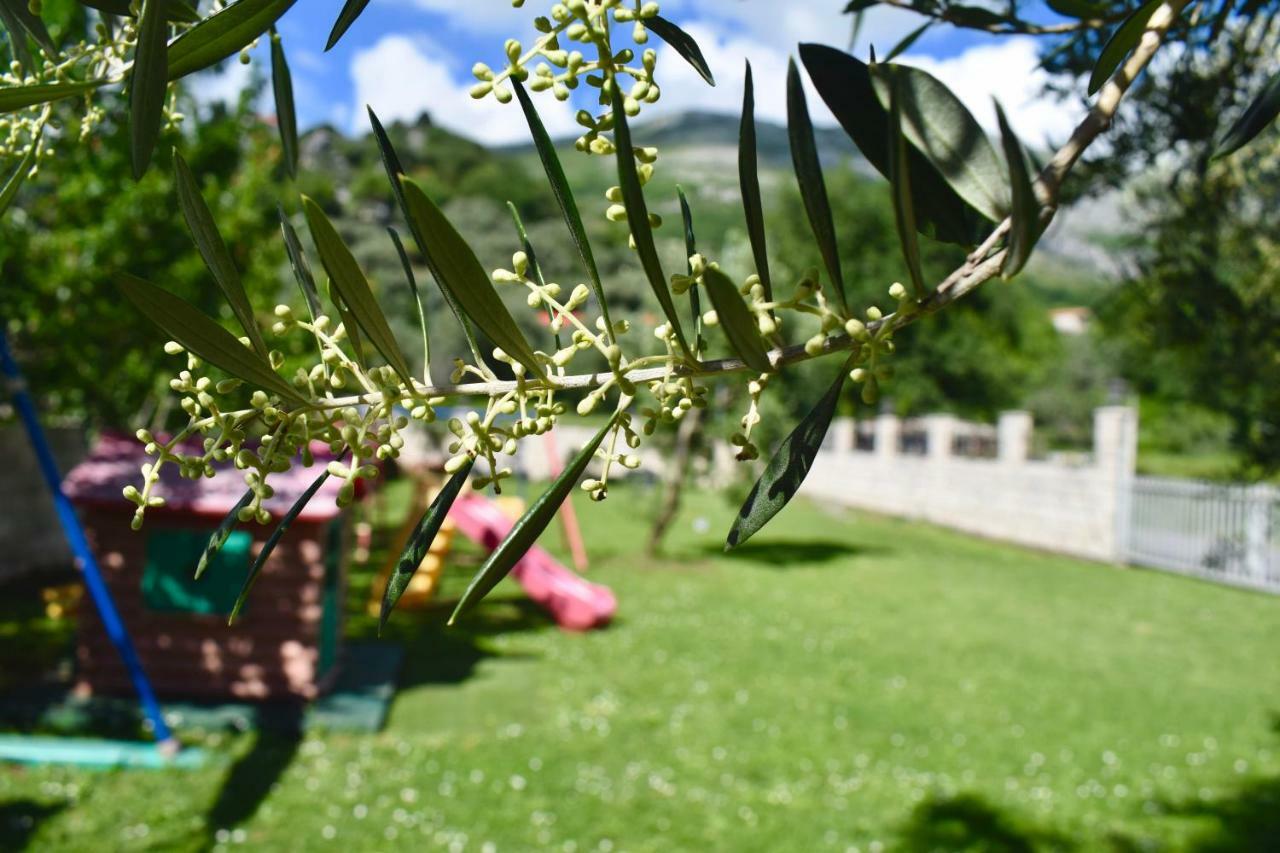 Villa Dolphin Apartments Petrovac Εξωτερικό φωτογραφία